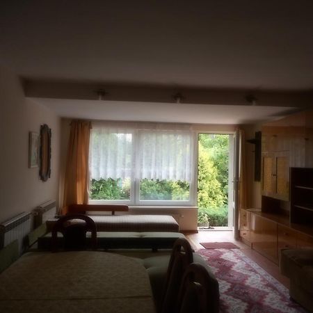 Przy Lesie Apartment Nowe Exterior photo