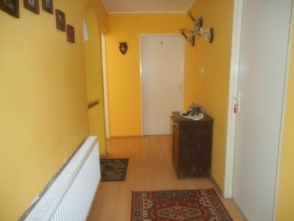 Przy Lesie Apartment Nowe Exterior photo