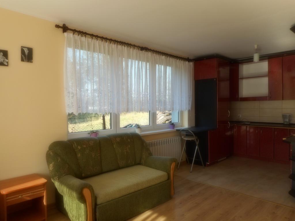 Przy Lesie Apartment Nowe Exterior photo